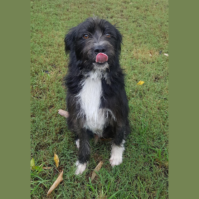 Photo of Jack
