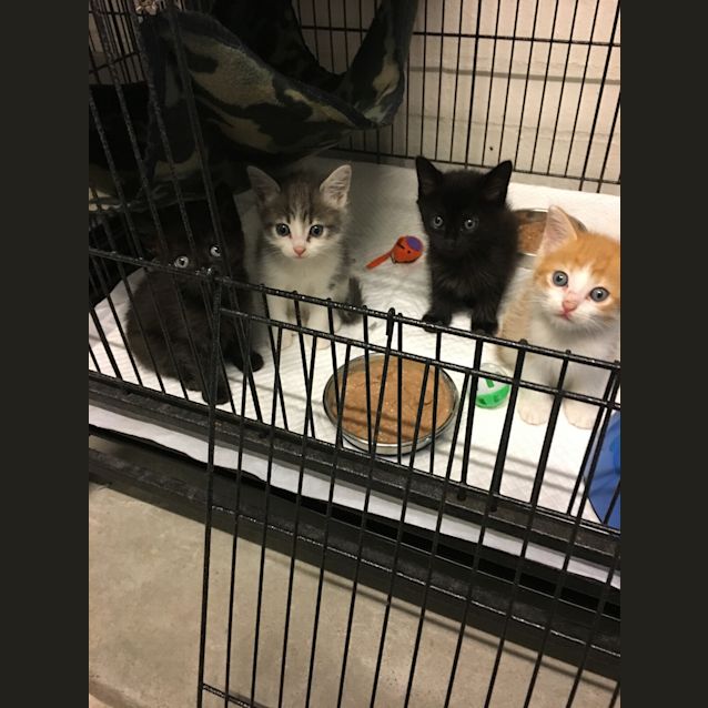 Photo of Larry