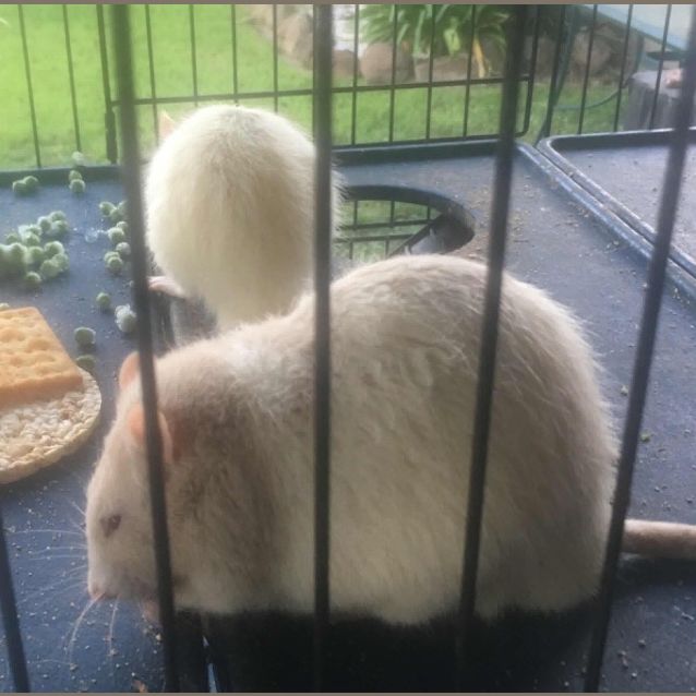 Photo of Ben & Jerry