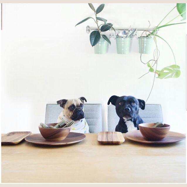 Photo of Donnie And Chilao 