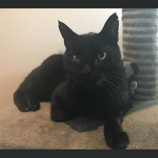 Photo of G Man