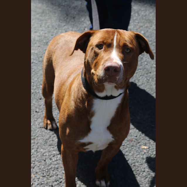 Photo of Lucille