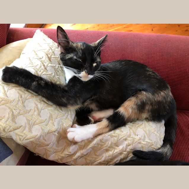 Photo of Shelly