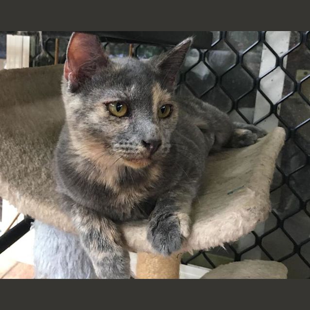Photo of Betty