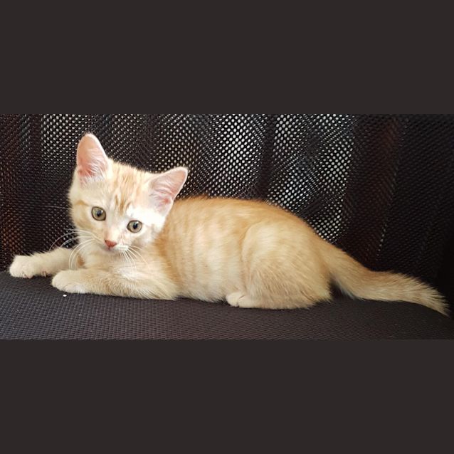 Photo of Ojay