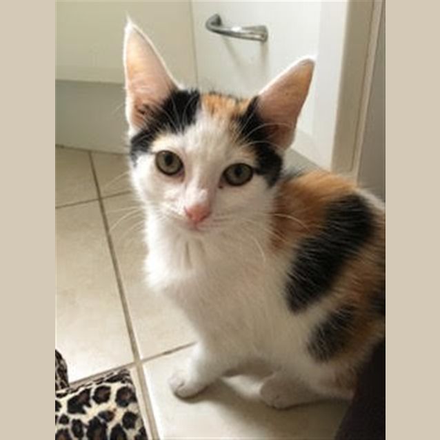 Photo of Sally