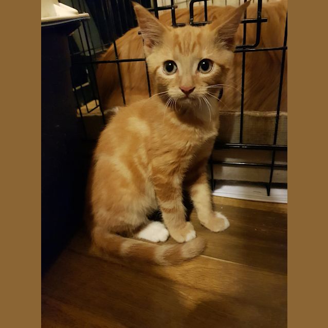 Photo of Sunny