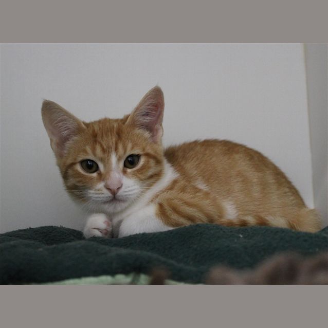 Photo of Lilly