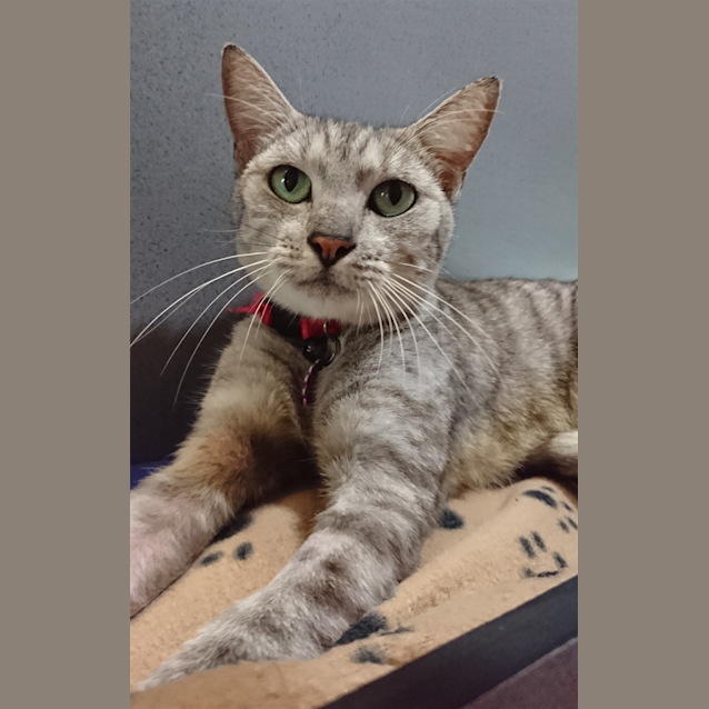 Photo of Mitzy