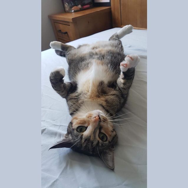 Photo of Annie