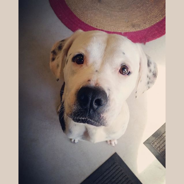 Photo of **On Trial** Smiley