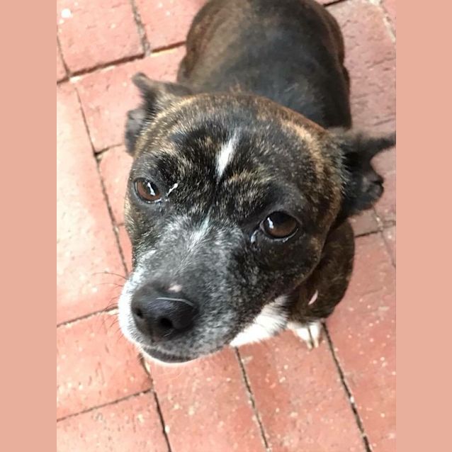 Photo of Betty & Wilma 