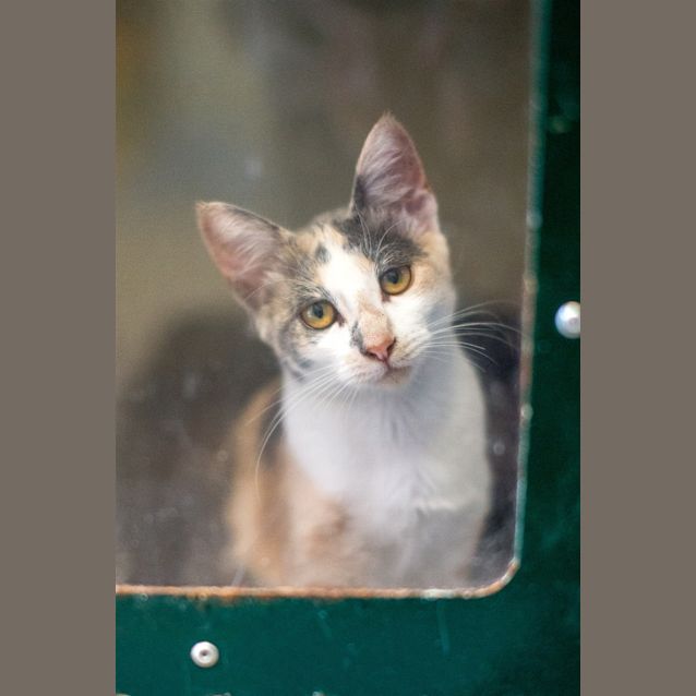 Photo of Belinda