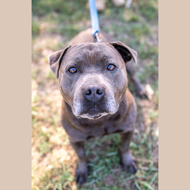 Photo of Sooki