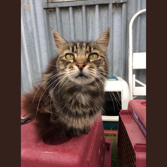 Photo of Claire De Lune