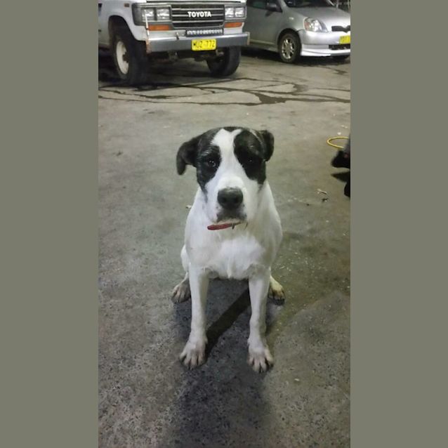 Photo of Lucy