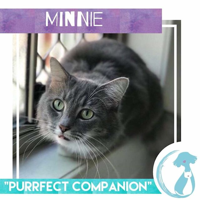 Photo of Minnie