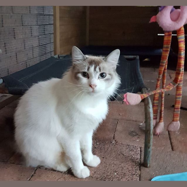 Photo of Prada