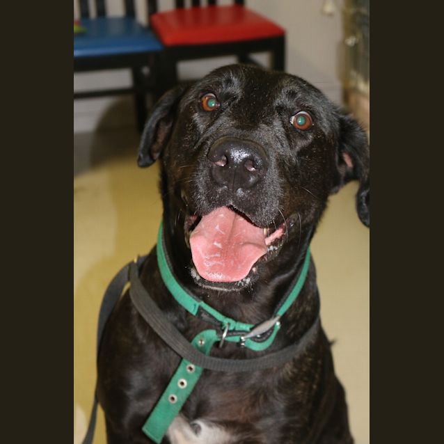 Photo of Zeus
