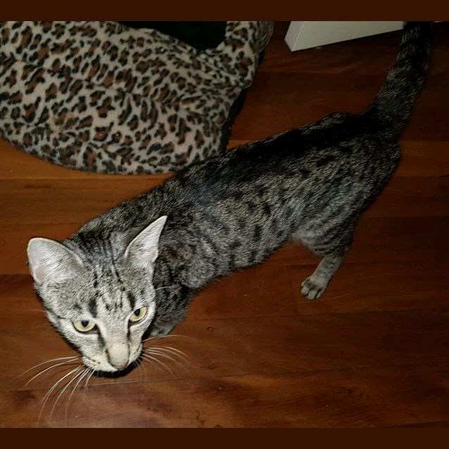 Photo of Winnie
