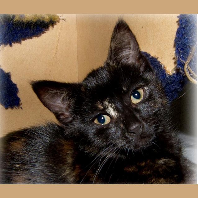 Photo of Maggie