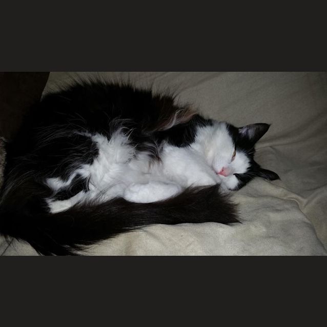 Photo of Skittles