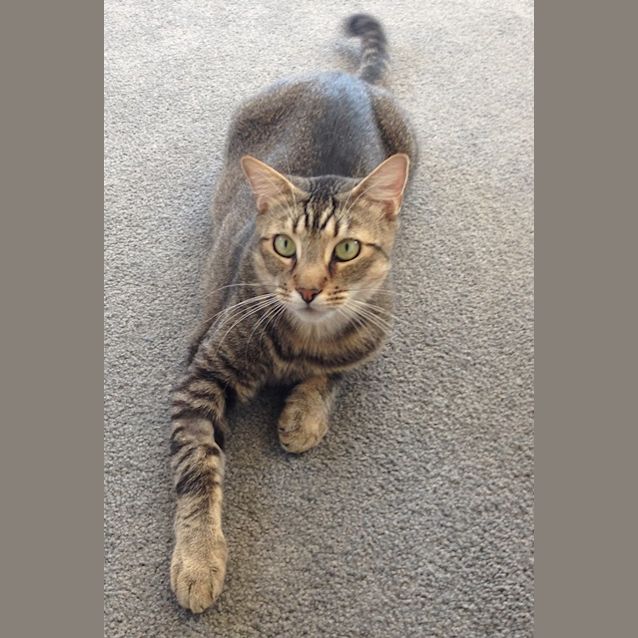 Photo of Storm