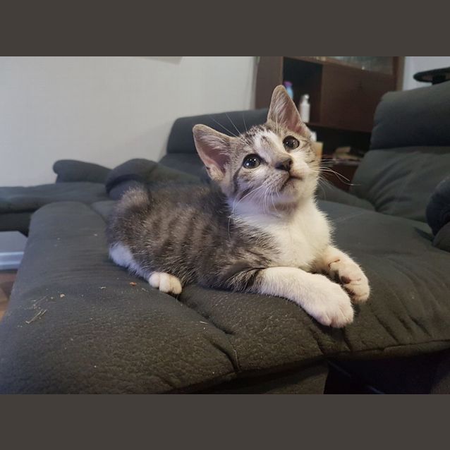 Photo of Bobby