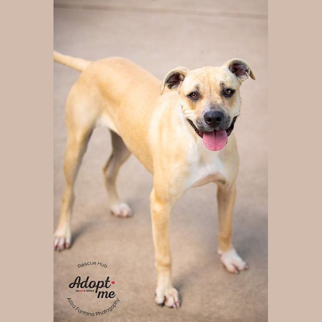 Photo of Malibu (Pcc 192)