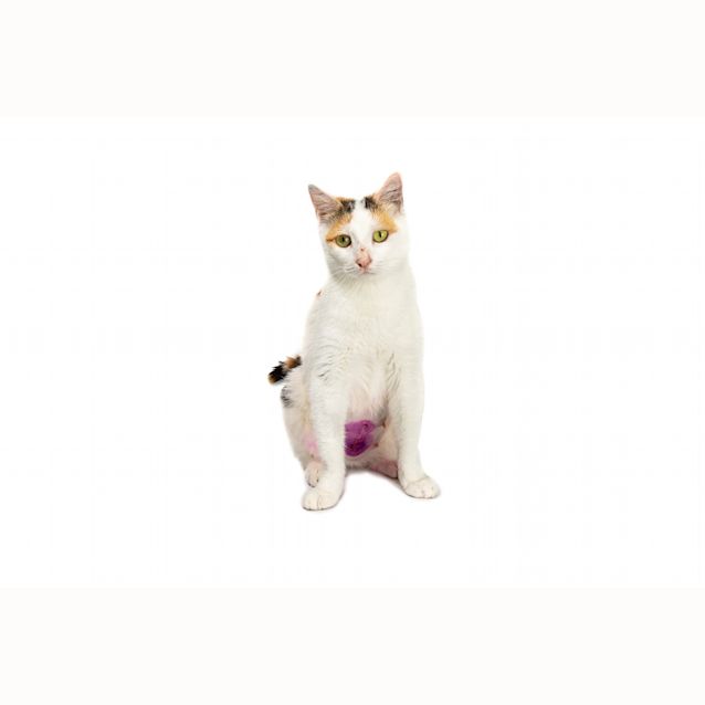 Photo of Oatmeal