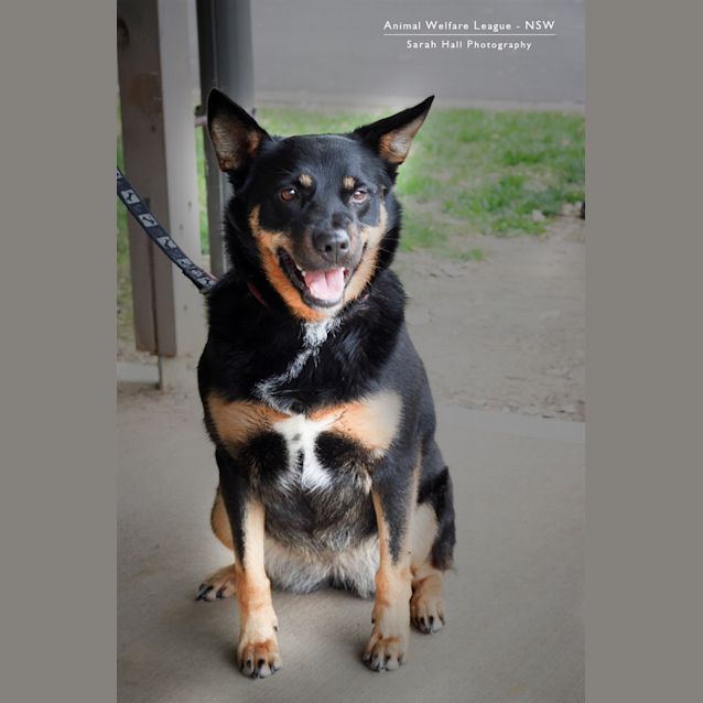 Photo of Keisha