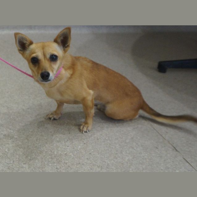 Photo of Chiquita