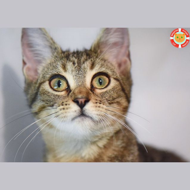 Photo of Cleo