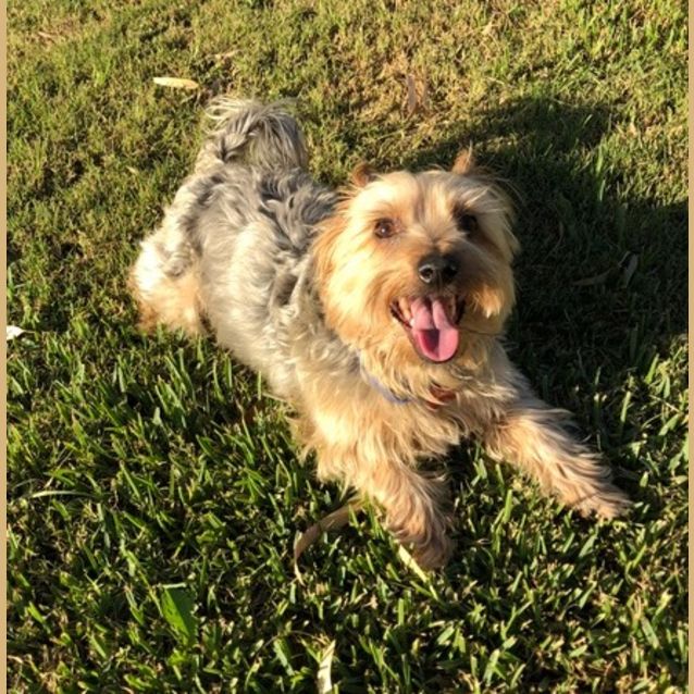 Photo of Arki *On Trial In His New Home*