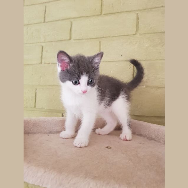 Photo of Lily