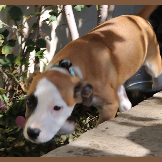 Photo of Cleo