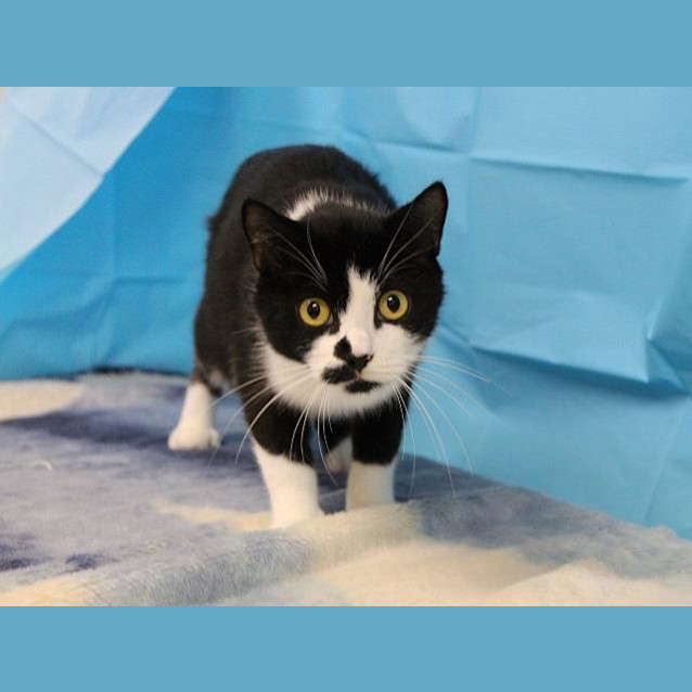 Photo of Bliss (1004)