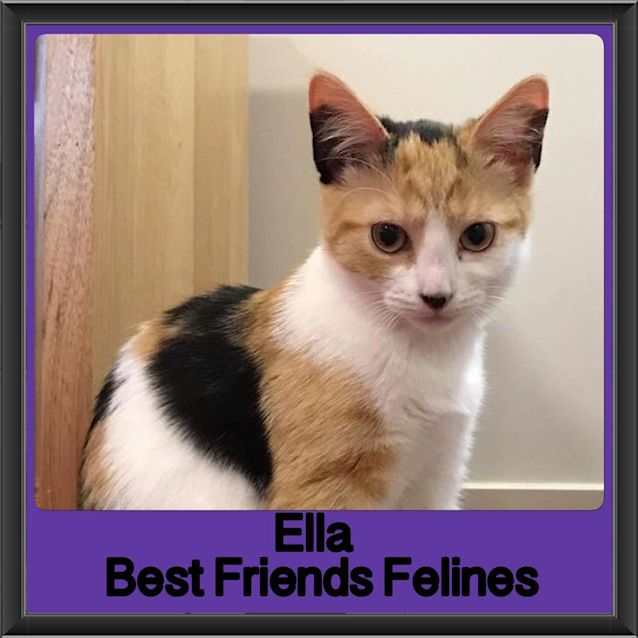 Photo of Ella 