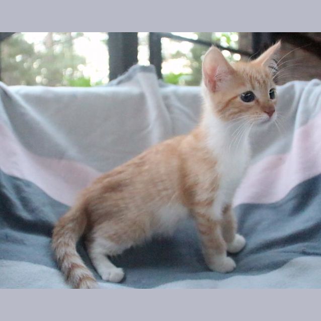 Photo of Azriel 