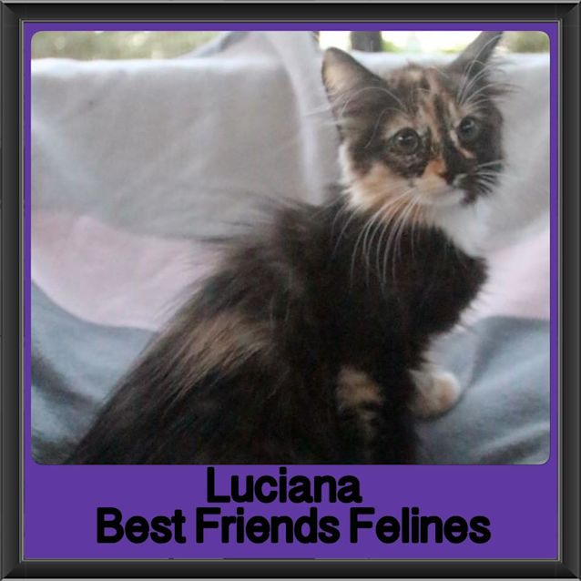 Photo of Luciana 