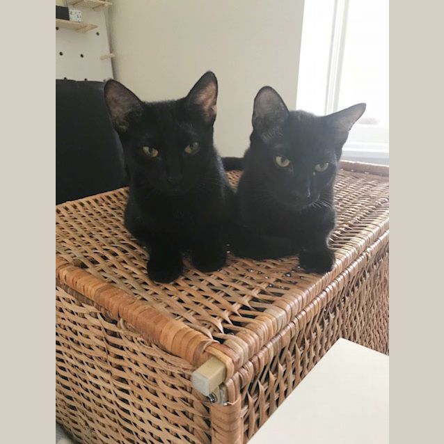 Photo of Jean And Jake