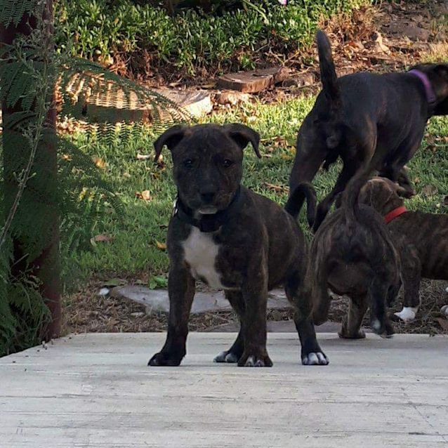 Photo of Lucy