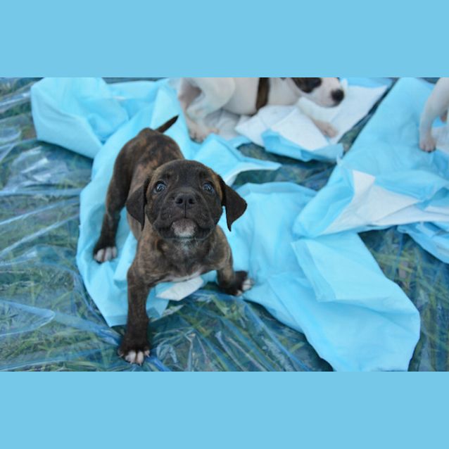 Photo of Zali Be D47992