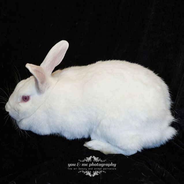 Photo of Keko Mo0003