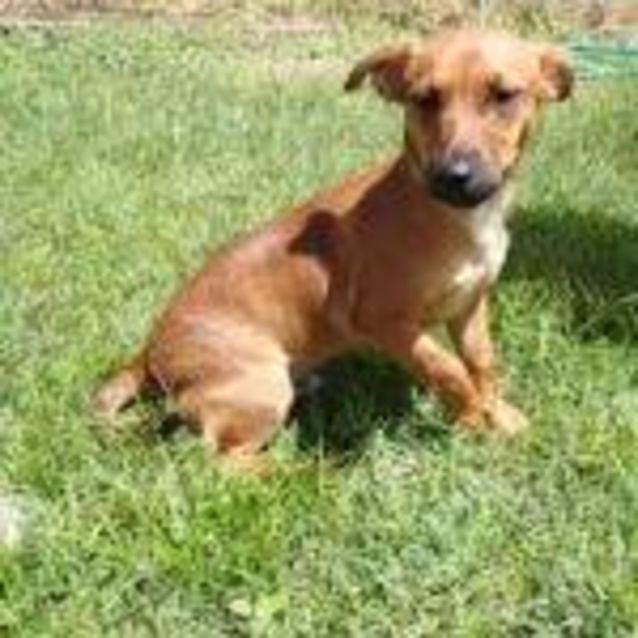 Photo of Trusty