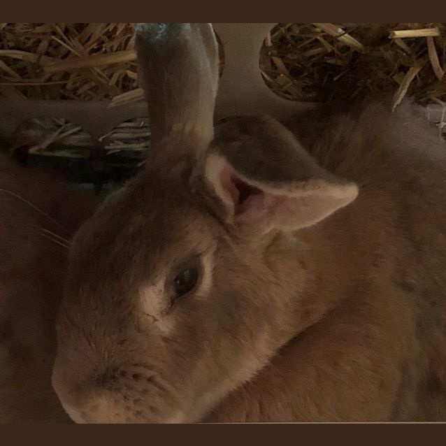 Photo of Socks And Slippers