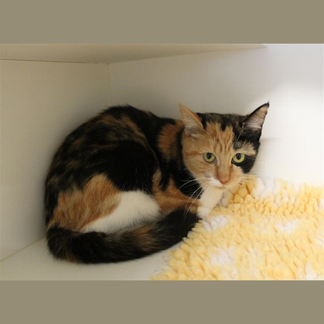 Photo of Polly