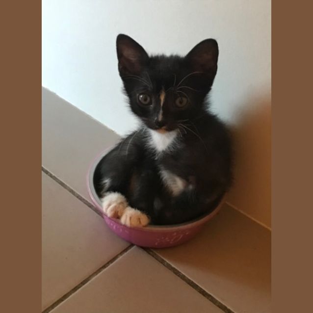 Photo of Boots