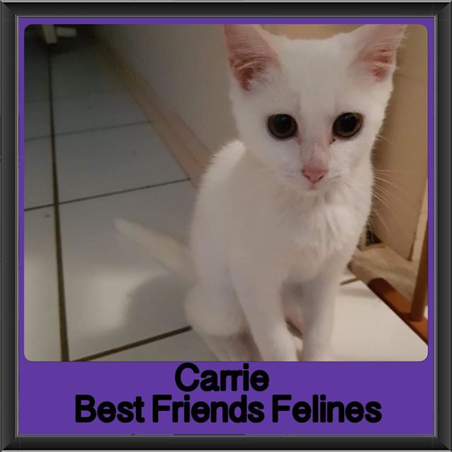 Photo of Carrie 