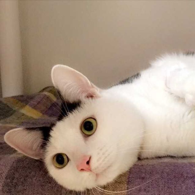 Photo of Murphy
